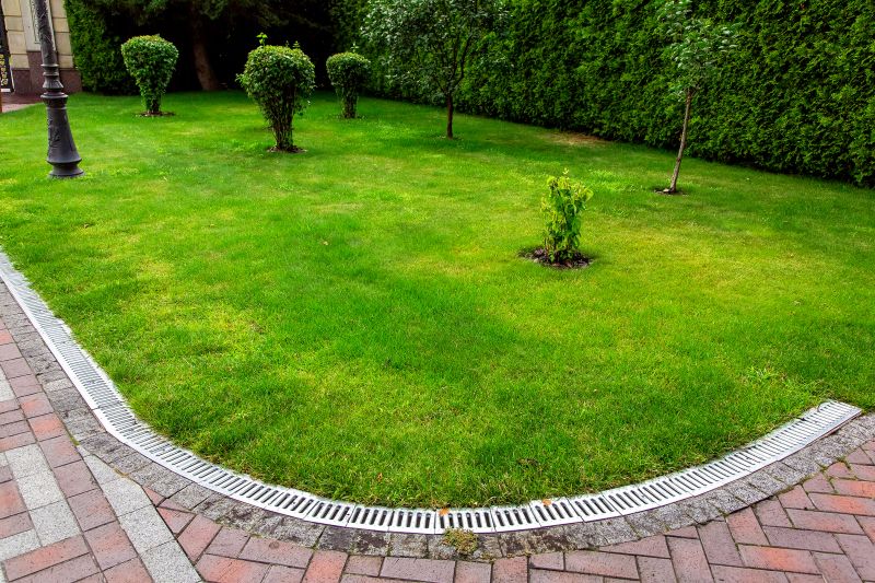 Lawn Drainage