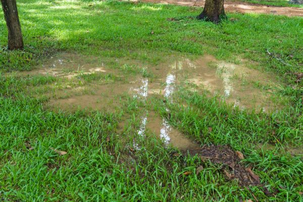 Cost of Storm Water Drainage Service in Grand Haven