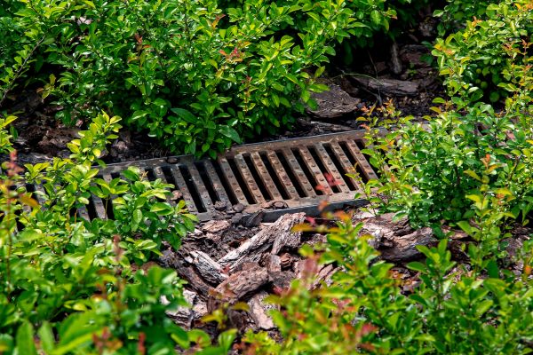 Cost of Underground Drainage Service in Grand Haven