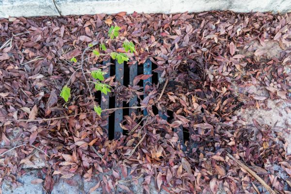 Cost of Yard Drain Unclogging in Grand Haven