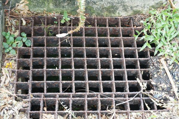 Cost of Yard Drain Cleaning in Grand Haven