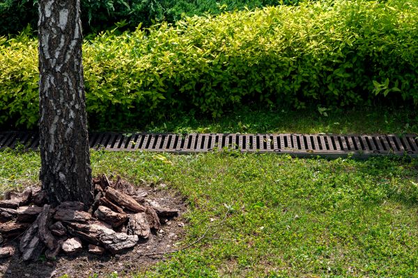 Cost of Garden Drainage Installation in Grand Haven