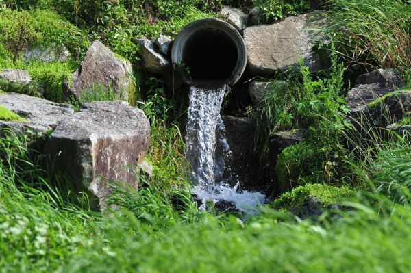 Cost of Water Redirection in Grand Haven