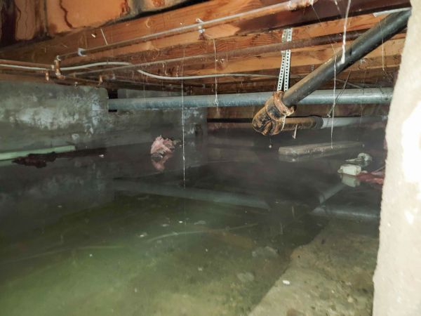 Cost of Crawlspace Drainage in Grand Haven