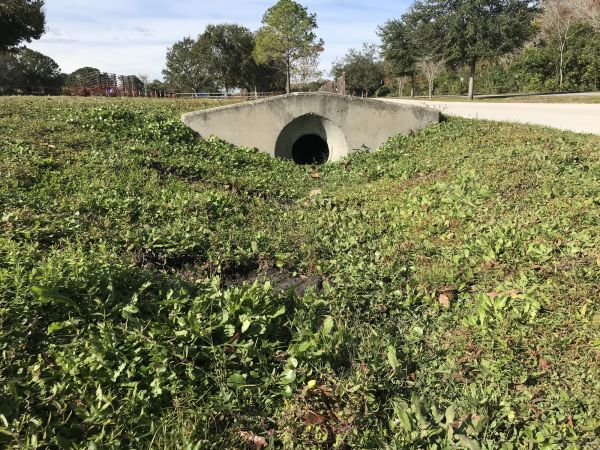 Cost of Swale Drainage Service in Grand Haven